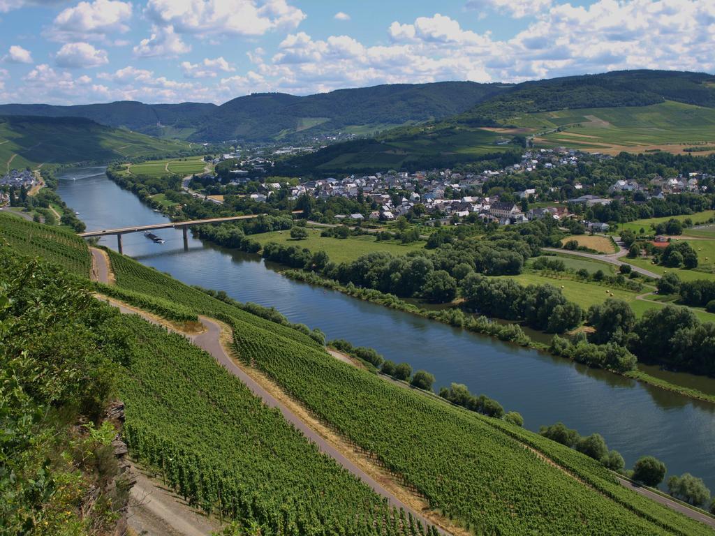 Ferienhaus N° 14 Mulheim an der Mosel Bagian luar foto